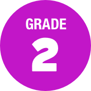 Reflections - Grade 2 - Quizizz