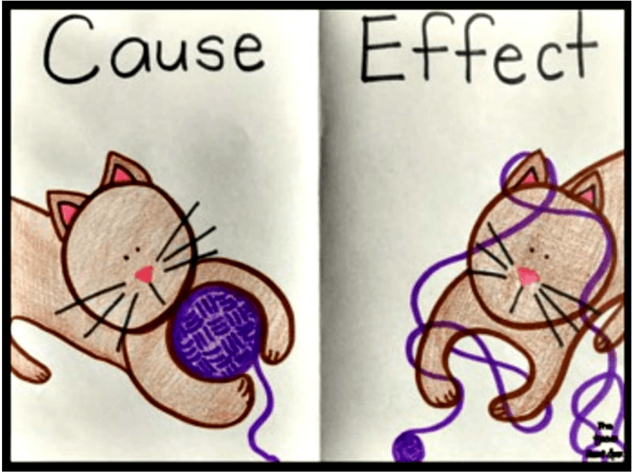 cause and effect questions and answers
