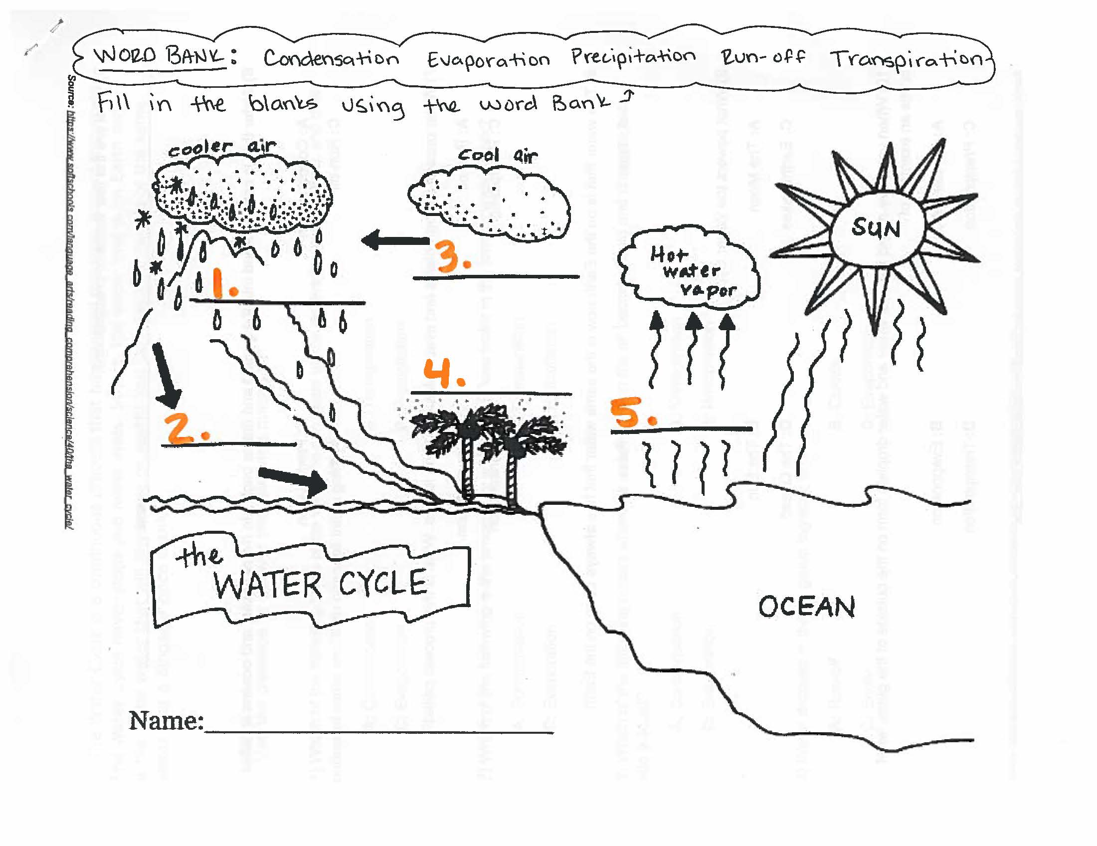 Water Cycle questions & answers for quizzes and tests - Quizizz