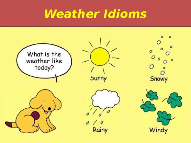 Weather idioms