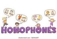 Homophones and Homographs Flashcards - Quizizz