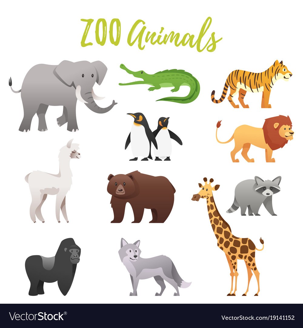 Zoo Animals! 