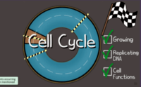 the cell cycle and mitosis - Class 5 - Quizizz
