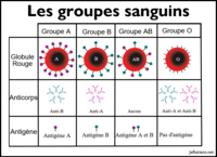 Adding Groups of Coins - Year 9 - Quizizz