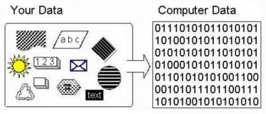 Tổ chức dữ liệu - Lớp 10 - Quizizz