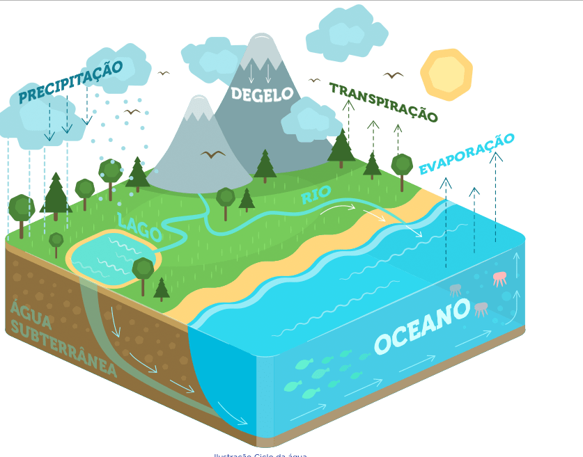 Ciência da vida Flashcards - Questionário