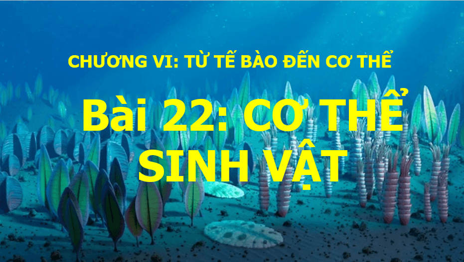 Khởi phát và Rimes - Lớp 6 - Quizizz