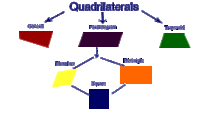 Quadrilaterals - Class 5 - Quizizz