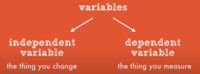 dependent variables - Year 6 - Quizizz