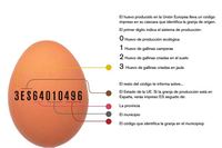 Codificación - Grado 1 - Quizizz