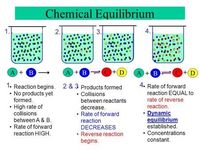 chemical equilibrium - Class 11 - Quizizz