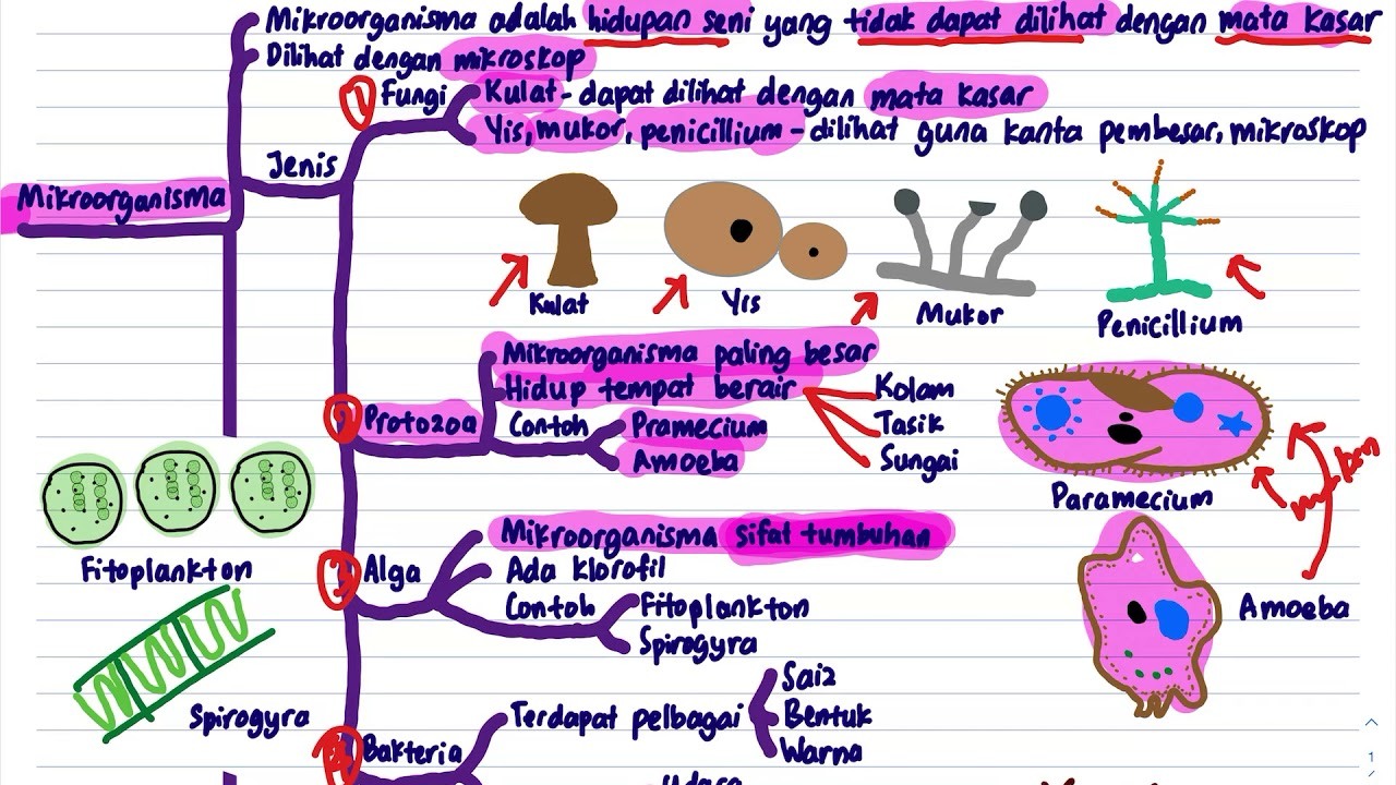 Sains Tingkatan 5 Bab 1.1-1.3 | Quizizz