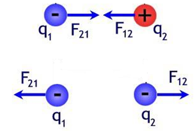 định lý nhị thức - Lớp 11 - Quizizz