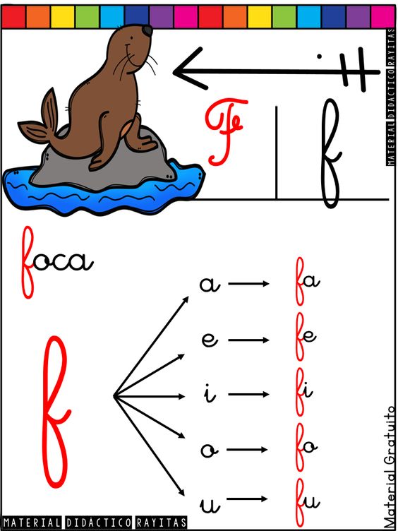 Litera F - Klasa 5 - Quiz