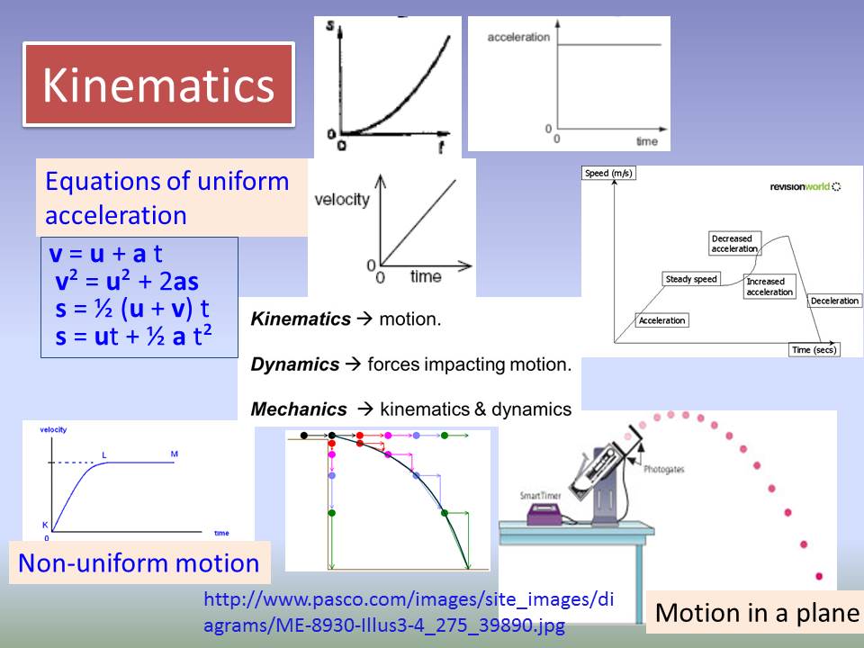 3 Kinematics | 1D Motion Quiz - Quizizz