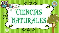 Recursos de texto de ficção - Série 2 - Questionário