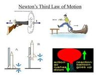 newtons third law - Class 9 - Quizizz