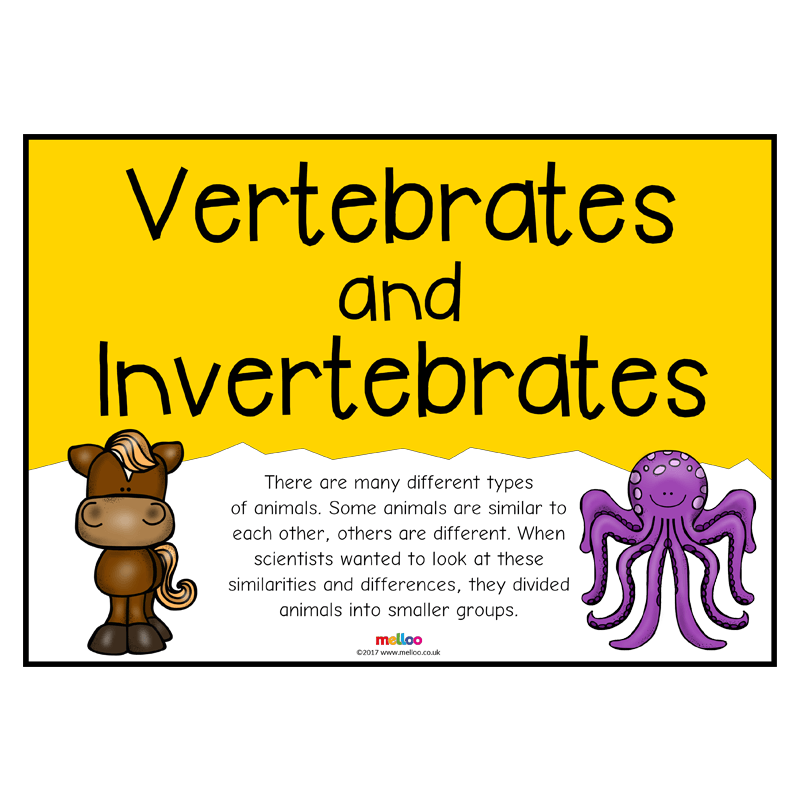 Vertebrates And Invertebrates | 1.1K Plays | Quizizz