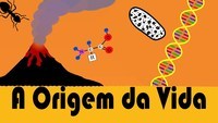 evolução e a árvore da vida - Série 1 - Questionário