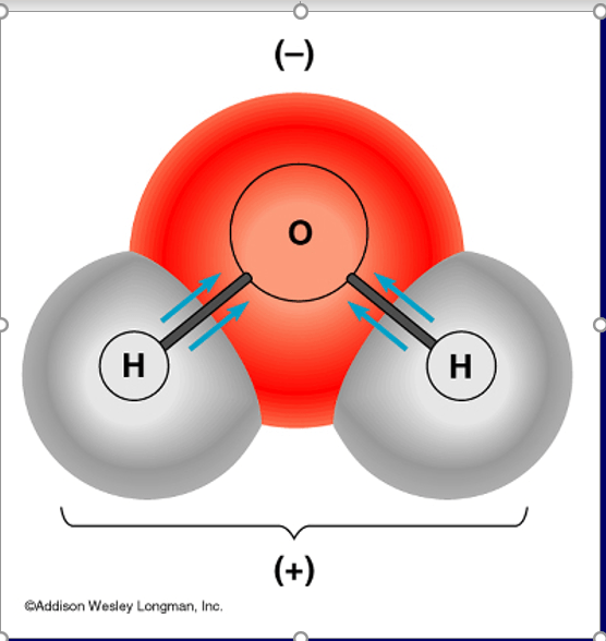 polar and nonpolar covalent compounds Quiz - Quizizz