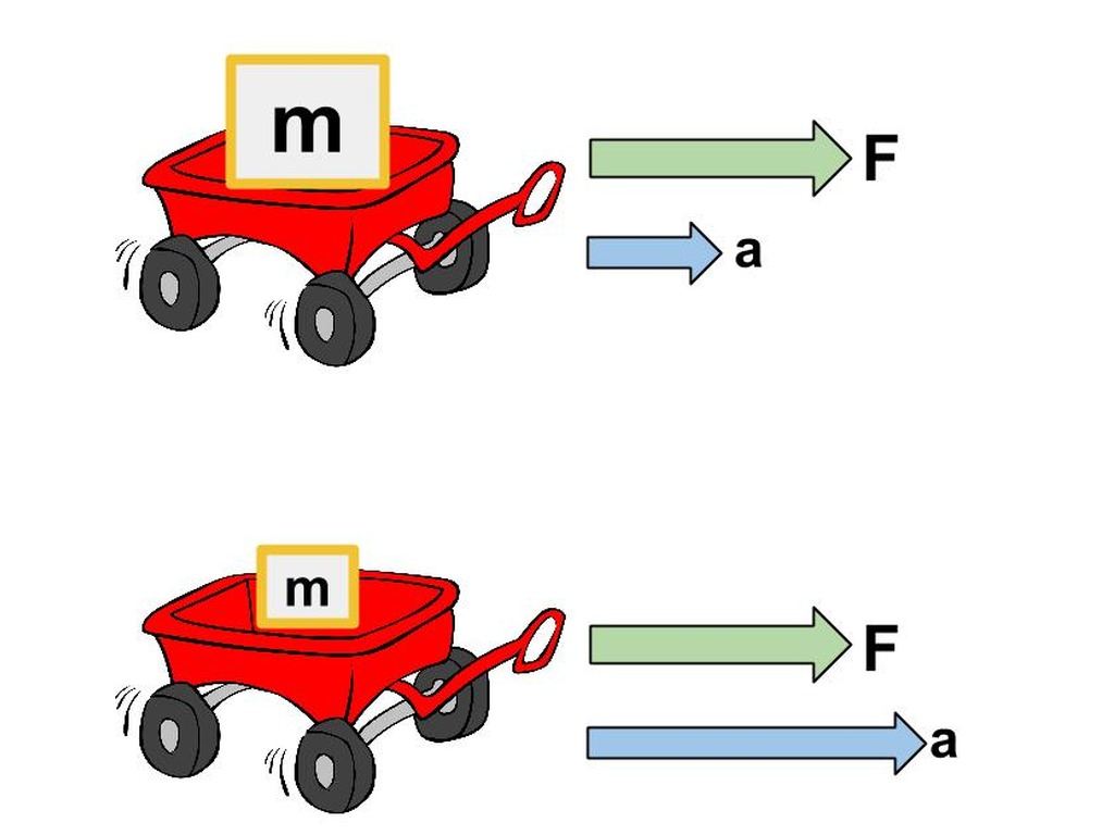 Newton's Second Law of Motion