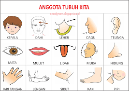 bagian-bagian tumbuhan dan fungsinya - Kelas 7 - Kuis