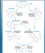 Polygons & Hierarchies