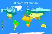 historia del mundo moderno - Grado 3 - Quizizz