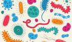 bactérias e arquéias - Série 3 - Questionário