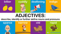 Descriptive Verbs - Class 2 - Quizizz