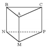 thể tích và diện tích bề mặt của hình lập phương - Lớp 7 - Quizizz