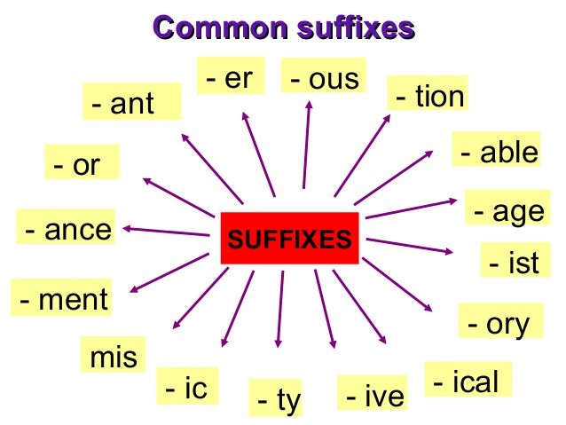 Suffixes - Class 11 - Quizizz