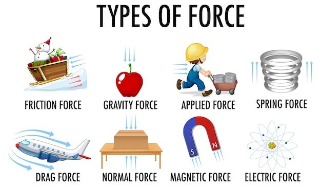 Forces and Interactions Flashcards - Quizizz