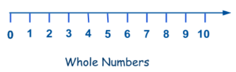 Whole Numbers as Fractions - Grade 12 - Quizizz