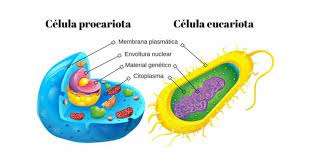 Ciencia medioambiental - Grado 9 - Quizizz