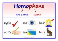 Homophones and Homographs Flashcards - Quizizz