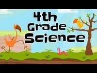 High School Science - Grade 4 - Quizizz