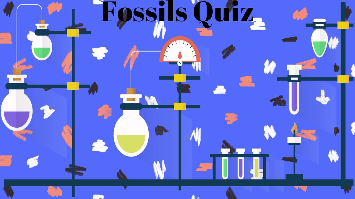 Fossils Quiz | Science Quiz - Quizizz