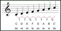 kalkulus integral - Kelas 6 - Kuis