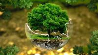 Environmental Science - Year 1 - Quizizz