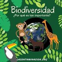 biodiversidad y conservación Tarjetas didácticas - Quizizz