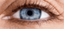 Eye: Function of parts of the eye