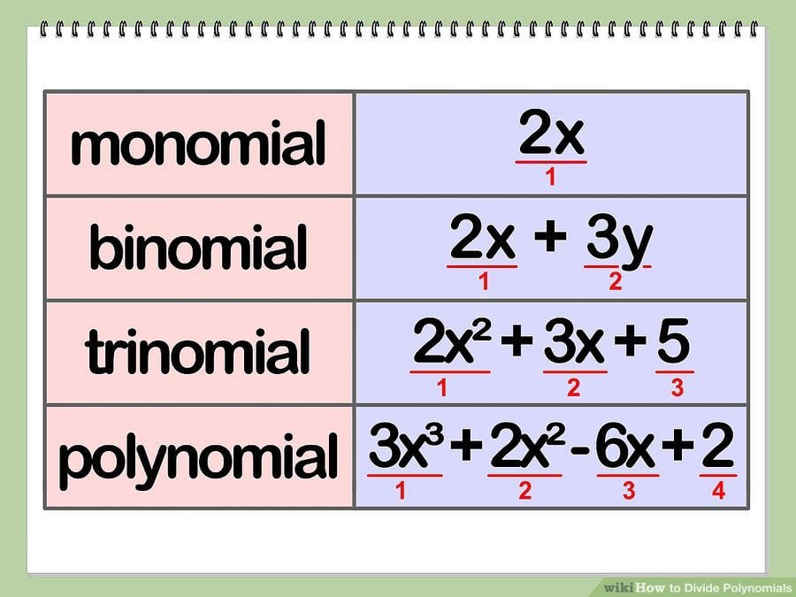 Polynomials Quiz - Quizizz