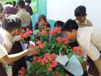 biologi tanaman - Kelas 6 - Kuis