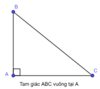 nhận thức lượng giác - Lớp 9 - Quizizz