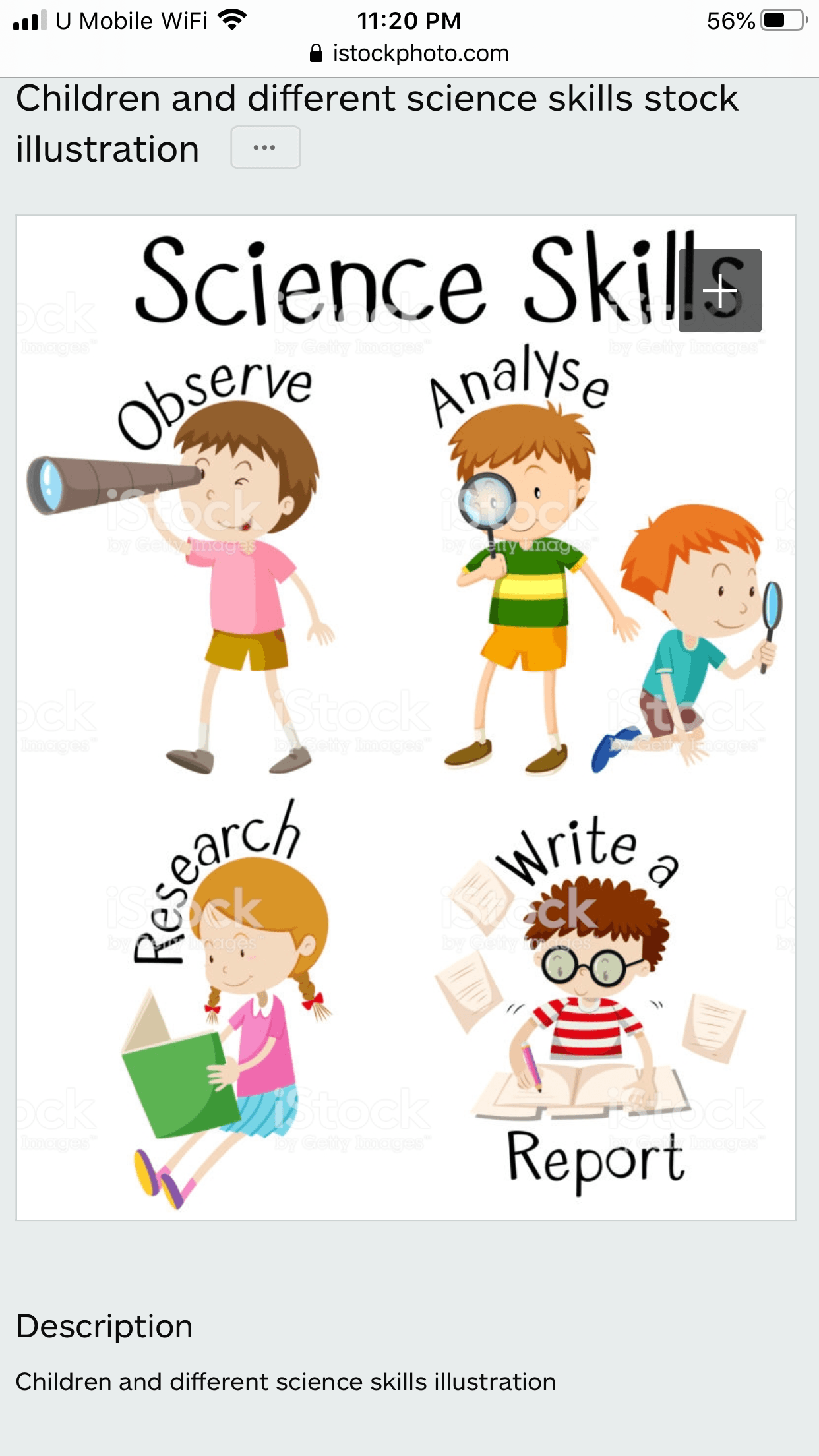 worksheet science process skills