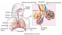 proses endotermik dan eksotermik - Kelas 2 - Kuis