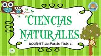 célula vegetal e animal Flashcards - Questionário