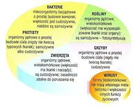 oddychania komórkowego - Klasa 4 - Quiz