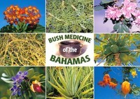 Bush Medicines of The Bahamas